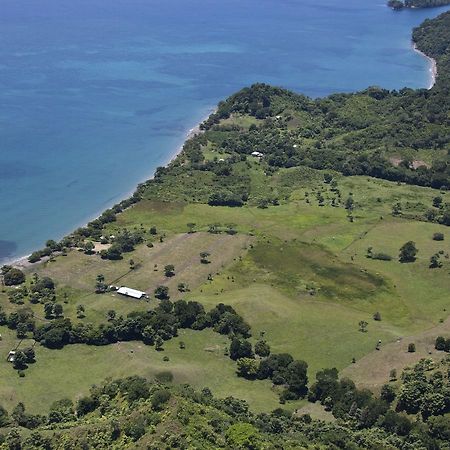 Hotel Punta De Aguila Necoclí Εξωτερικό φωτογραφία